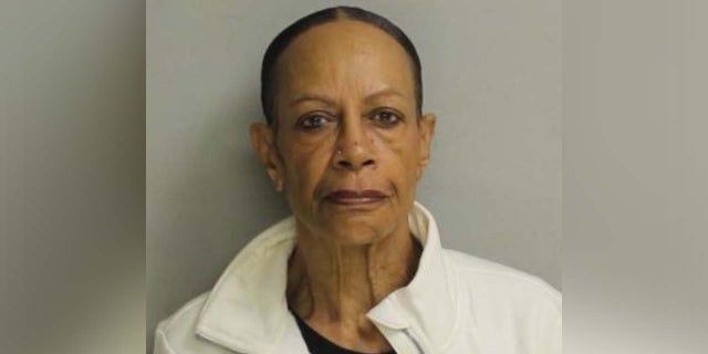 Renee DiPietro's mugshot