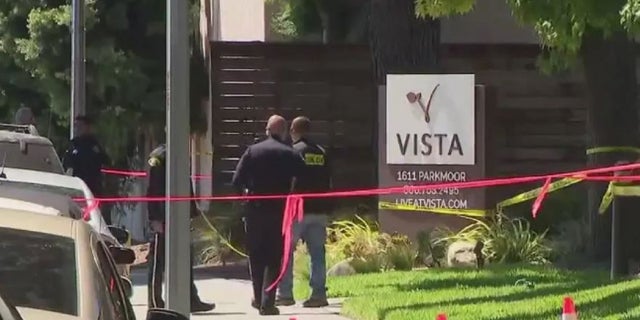 California woman and boy killed