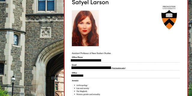 Satyel Larson Princeton