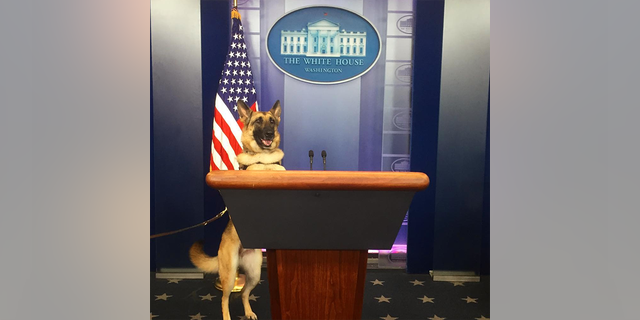 kaya at the white house