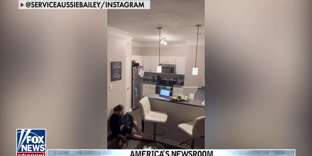 Service dog helping owner Katie Graham during medical episode