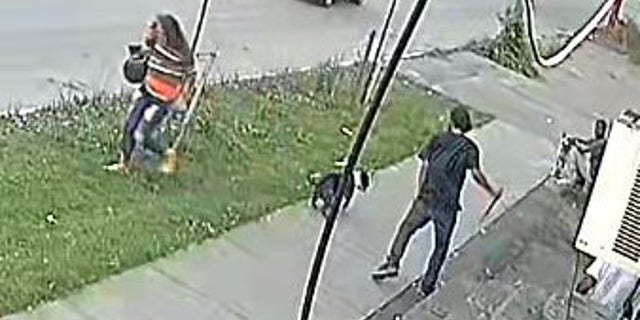 Syracuse New York dog stabbing incident