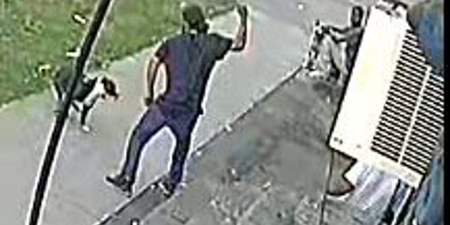 Dog attacked in upstate New York