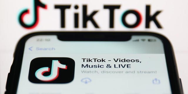 TikTok logo