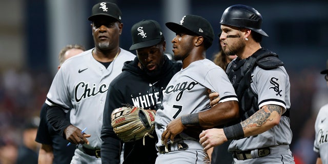 Tim Anderson taken off the field