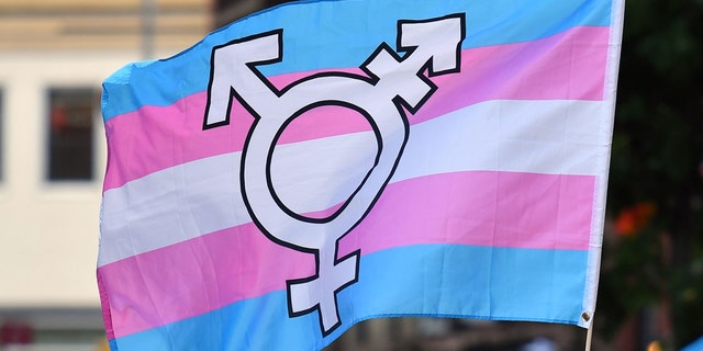 transgender flag thumbnail