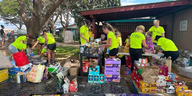 people volunteering at Maui Humane Society