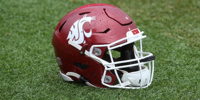 Washington State Cougars helmet