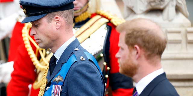 Prince William in a blue military suit looking away as Prince Harry looks at him in a morning suit