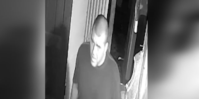 Male suspect