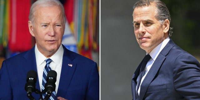 Hunter Biden, Joe Biden