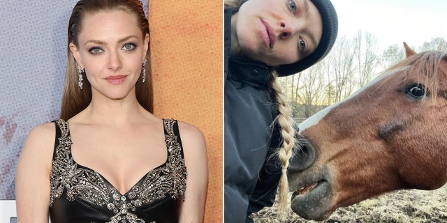 Amanda Seyfried on the red carpet and on her farm split