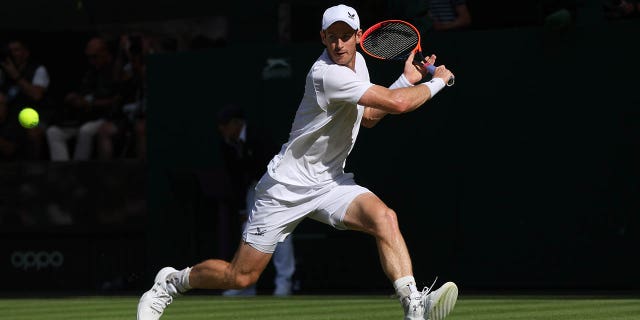 Andy Murray at Wimbledon