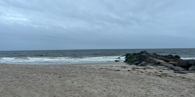 Beach where shark attack happened