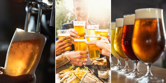 beer by the number split