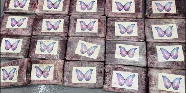 bricks of cocaine