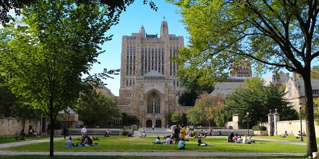 College students sitting on the quad