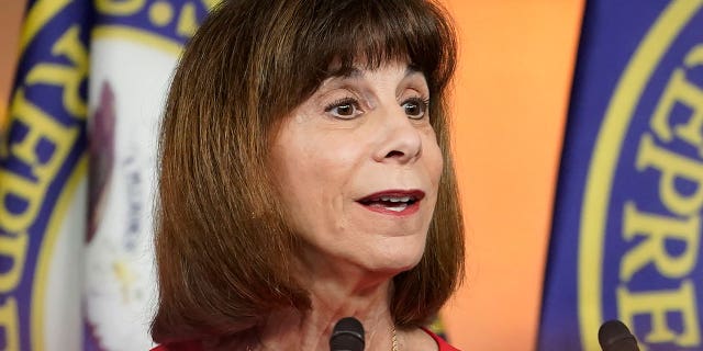 U.S. Rep. Kathy Manning speaking
