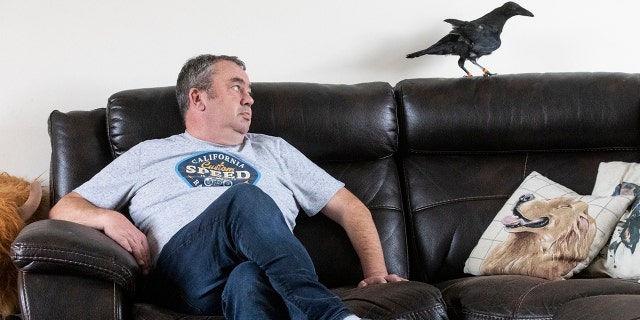 Crow and bunny owner
