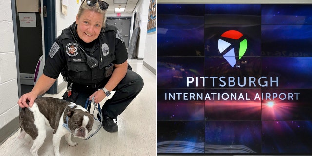 dog abandoned at PA airport split