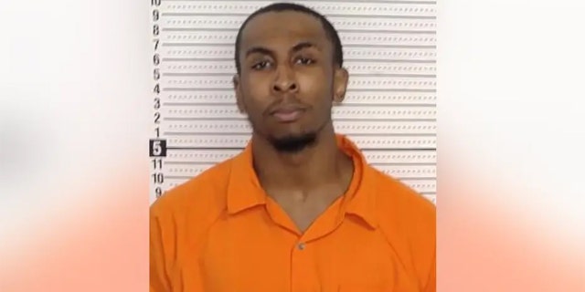 Donell Anderson mugshot