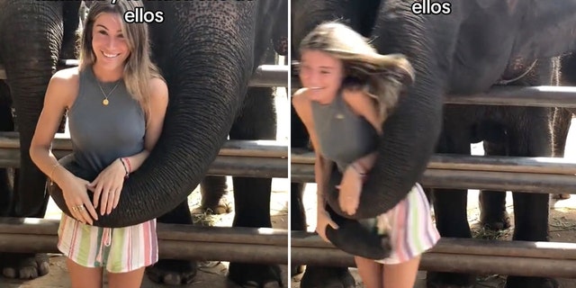 Elephant knocked over girl