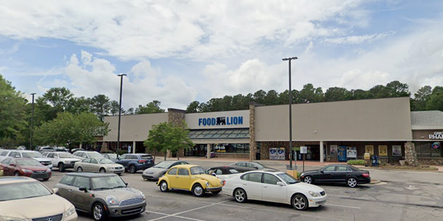 Food Lion store and parking lot shown