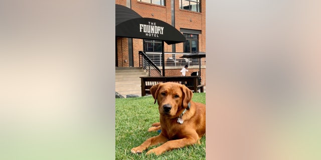 foundry hotel