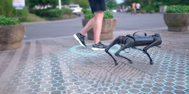 go1 robot and owner walking