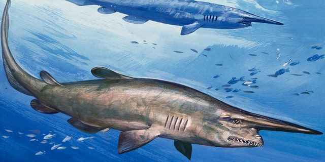 An illustration of goblin sharks