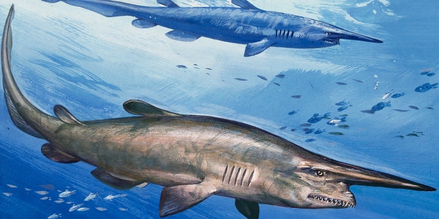 An illustration of goblin sharks