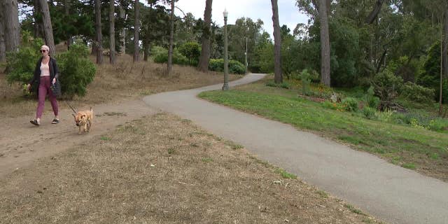 Scene near Golden Gate Park in San Francisco, where a woman's body was found