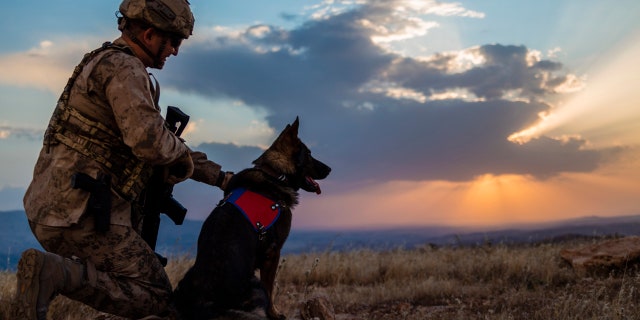 army soldier with service dog