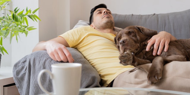 Dog on couch and bed dilemma