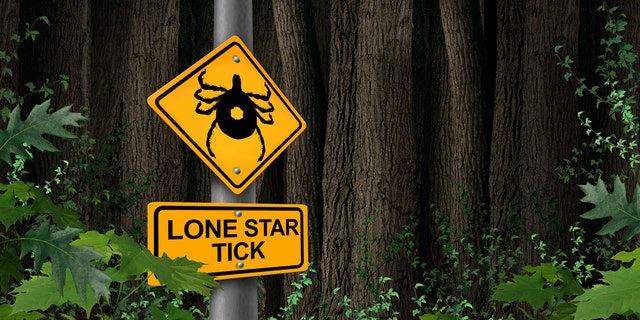 Lone Star tick