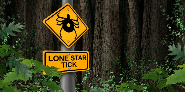 Lone Star tick