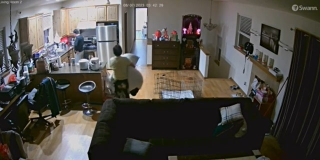 CCTV footage from inside Tran's and Chau's Seattle home