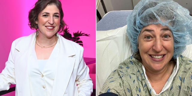 A split image of Mayim Bialik at an event and at a hospital