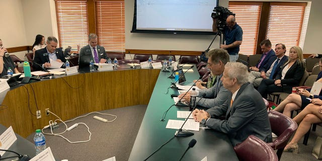 Georgia state Sen. Carden Summers testifies