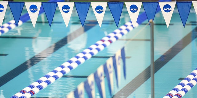 NCAA swimming banners