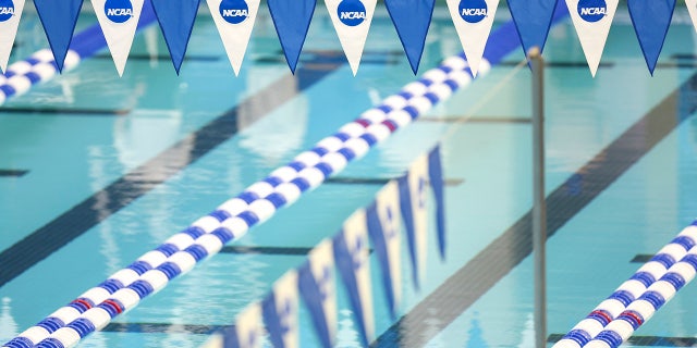NCAA swimming banner