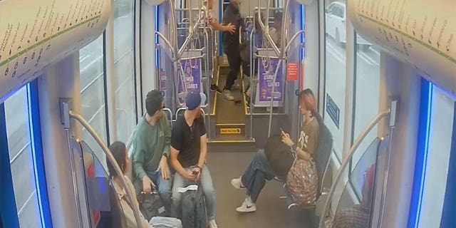 Seattle light rail attack video