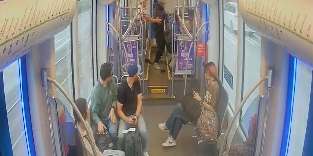 Seattle light rail attack video