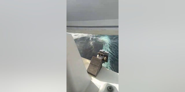 Boat destroyed by orcas