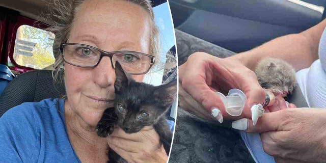 Woman holding black cat split with tiny kitten being bottle fed