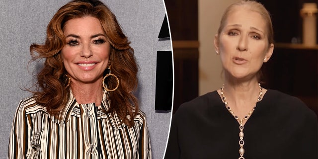 Shania Twain in a striped dress and large dangly hoop earings smiles on the carpet split Céline Dion in a black outfit and gold chain talks to the camera