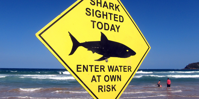 Sign warning about sharks in Australia