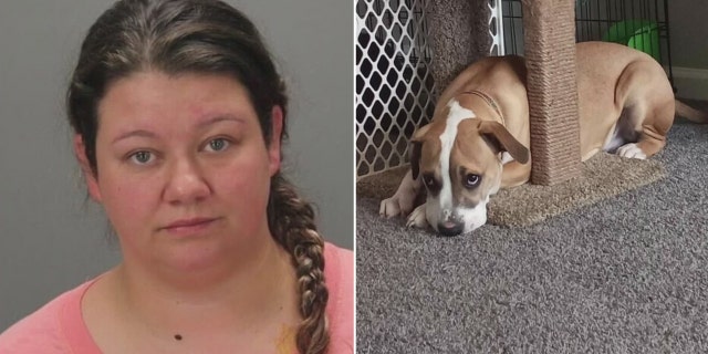 Michigan woman sex act on dog