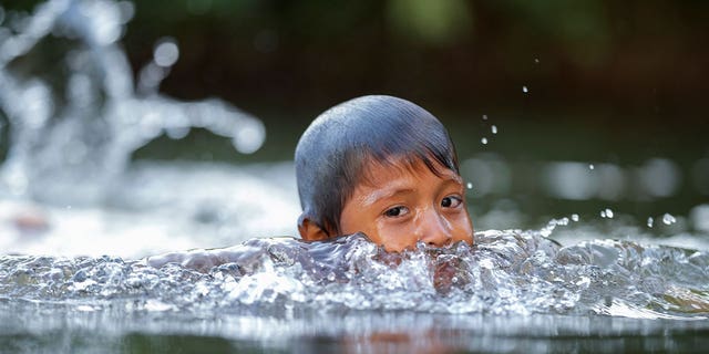 Indigenous Wari' boy swims 