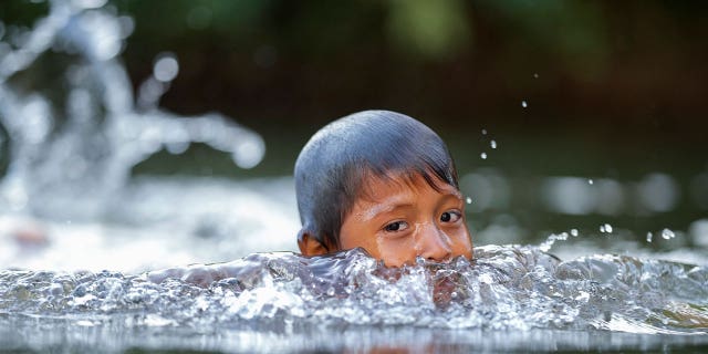 Indigenous Wari' boy swims 